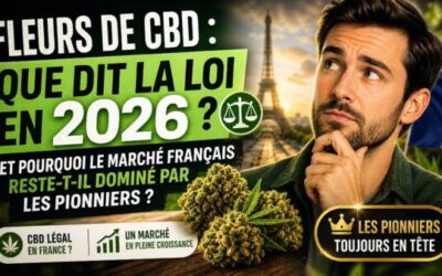 Fleurs de CBD : que dit la loi en 2026 et pourquoi le marché français reste-t-il dominé par les pionniers ?